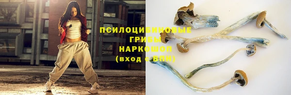 бутират Зеленодольск