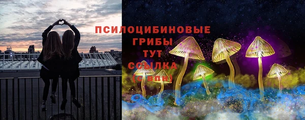 прущий лед Арсеньев